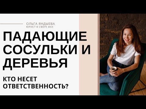 Видео: Падающие сосульки, глыбы снега, деревья во дворе МКД - кто отвечает?