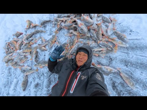 Видео: Один день на льду - и вот результат. Посмотрите каких монстров мы выловил.