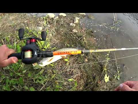 Видео: ЩУКА В ОКТЯБРЕ! РЫБАЛКА НА ДЖЕРКИ! ОСЕННИЙ ЖОР ЩУКИ