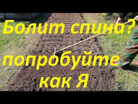 Видео: ПРИСПОСОБА для посадки ЧЕСНОКА под зиму/если БОЛИТ СПИНА делай как я