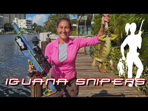 Видео: Целевая охота на богатых игуан с помощью Iguana Solutions