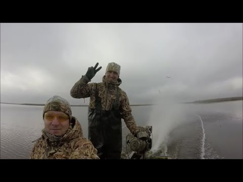 Видео: ОХОТА НА УТКУ В КОНЦЕ ОКТЯБРЯ.РАСКАТЫ.