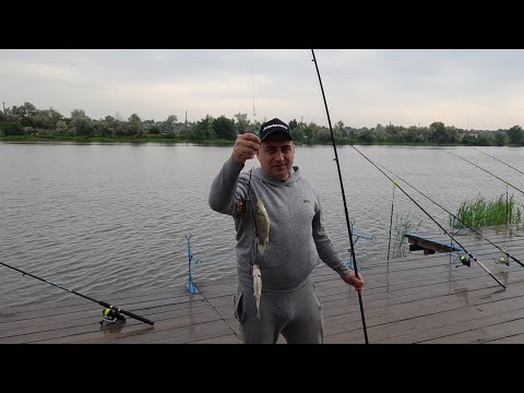 Видео: Рыбалка на Днестре (Маяки 42км.)#рыбалка2023#днестр#рекомендую.