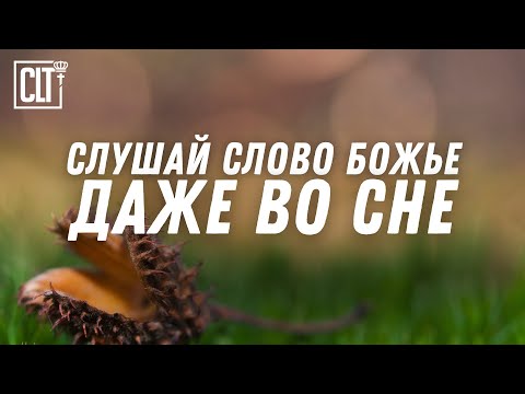 Видео: Расслабься от забот и суеты в атмосфере мира и любви | Библия | Relaxing