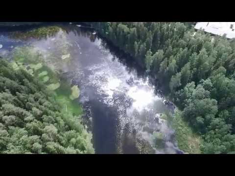 Видео: Деревни Даймище и Батово на Оредеже,июнь 2016