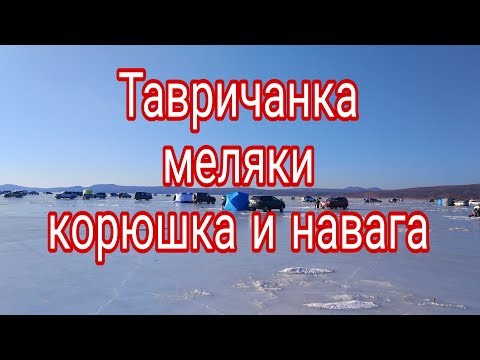 Видео: Тавричанка меляки корюшка и наважка Full HD