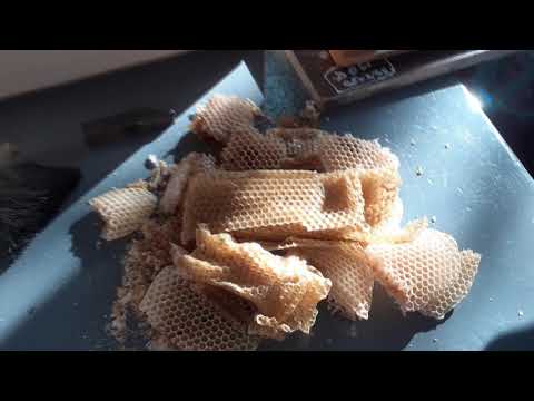 Видео: Работа идет, мы не стоим на месте