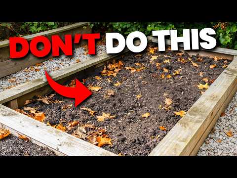 Видео: Почему НИКОГДА не следует оставлять почву голой