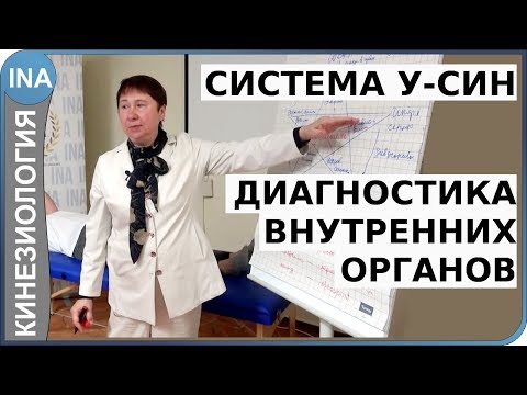 Видео: У-СИН. Диагностика внутренних органов. Прикладная кинезиология. Проф. Л.Ф.Васильева