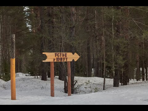 Видео: Ранняя весна в Марий Чодре - птицы, лоси и родники