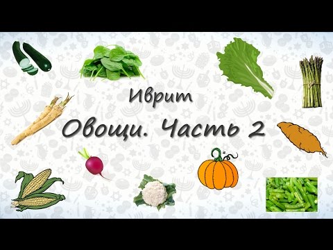 Видео: Овощи на иврите. Часть 2