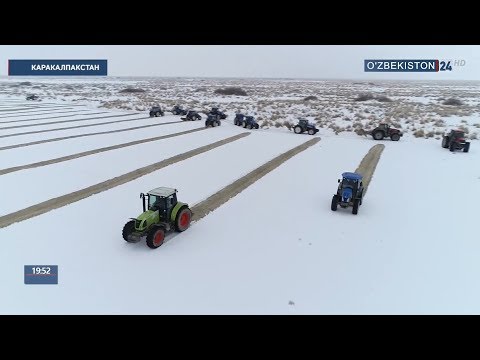 Видео: Проекты по Аралу в Муйнаке