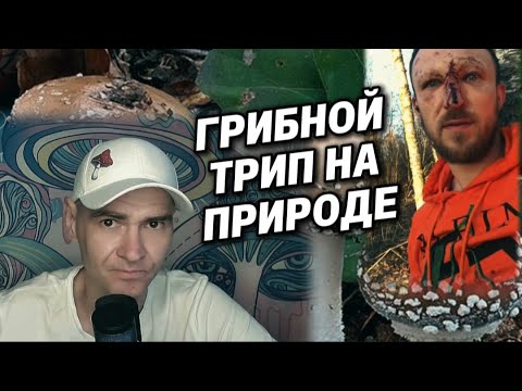 Видео: Трип на ПАНТЕРНОМ МУХОМОРЕ на природе