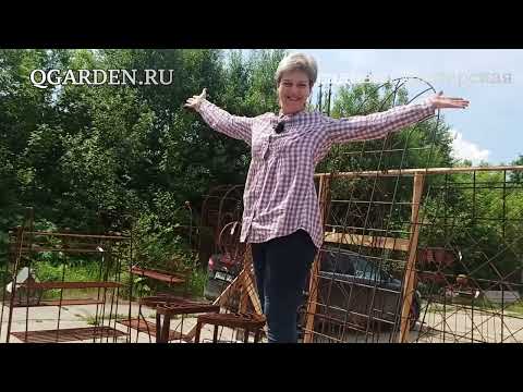 Видео: Обзор наличия товаров от Кью 07.06.2024