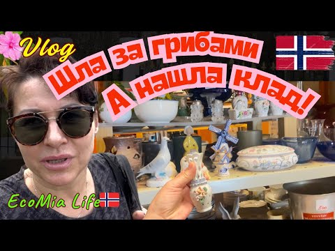 Видео: Неожиданная находка в лесу! Вместо Грибов — сумка Серебра и удача на миллион! /Nº8 - 10..2025