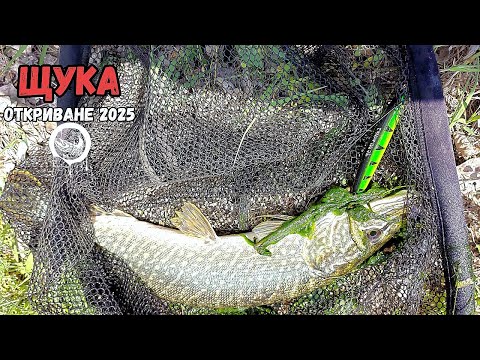 Видео: Откриване на новия сезон за риболов на щука