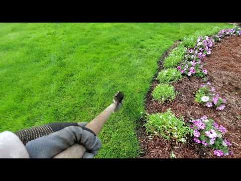 Видео: Как боремся с сорняками.