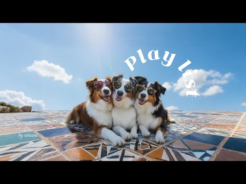 Видео: 𝐏𝐥𝐚𝐲𝐥𝐢𝐬𝐭 [Cafe] Полнолуние 🌕 Осенний роудтрип-плейлист🎵 Настроение на высоте | Кафе