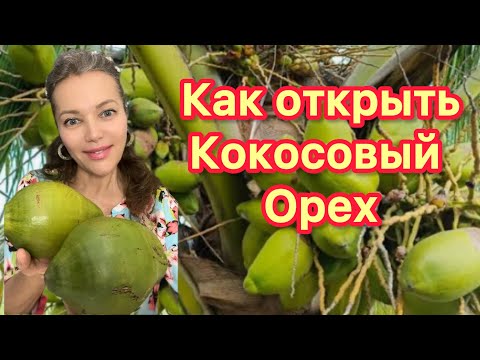 Видео: ПП КАК ОТКРЫТЬ СВЕЖИЙ КОКОС 🥥 ТЫ СМОЖЕШЬ ЭТО ДЕЛАТЬ САМ🌴ЛУЧШЕЕ СРЕДСТВО ДЛЯ СТРОЙНОСТИ И ЗДОРОВЬЯ