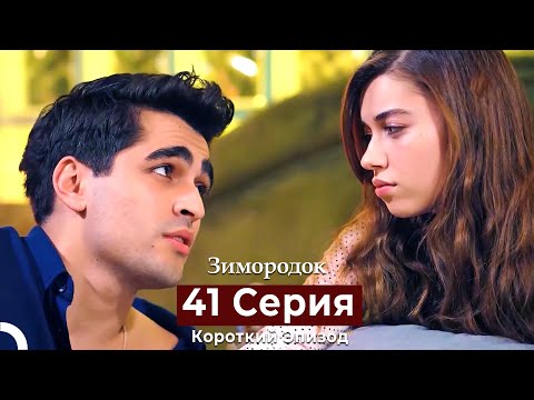 Видео: Зимородок 41 Cерия (Короткий Эпизод) (Русский дубляж)