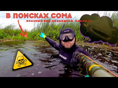 Видео: В поисках сомов