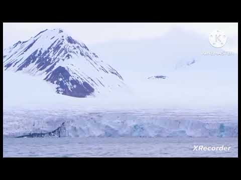 Видео: мы родились в сибири//контент ради рекламы//обзор канала