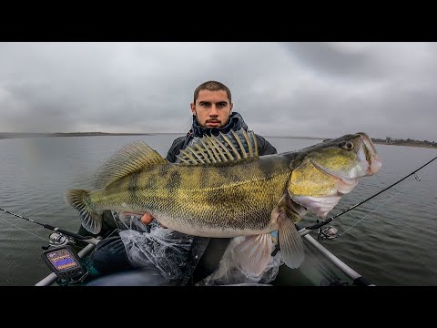 Видео: КАК да ХВАНЕМ ТРОФЕЙНА БЯЛА РИБА?! ДЖИГ РИБОЛОВ на  ПЯСЪЧНИК