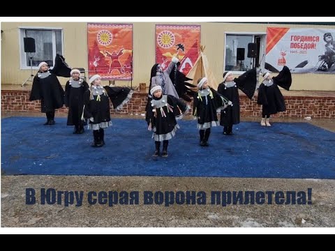 Видео: В Югру серая ворона прилетела!