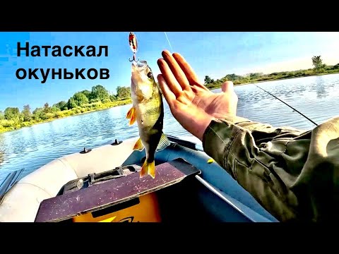 Видео: спиннинг Norstream adept 2. Крупный окунь