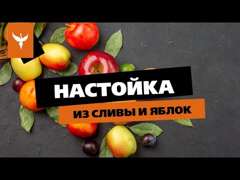 Видео: рДЖ 69: 🍷 Настойка из сливы и яблок🍎 Что выбрать аромат или насыщенность? Что висело лучше не станет