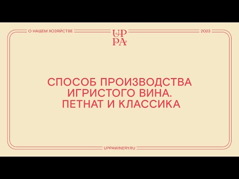 Видео: Павел Швец | Способ производства игристого вина Петнат и классика