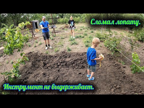 Видео: #10 Приводим в порядок заброшенную дачу, копаю землю, сломал лопату, травлю траву. Собираем урожай.