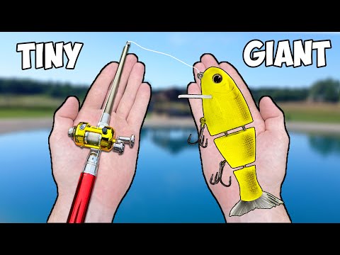 Видео: Рыболовное соревнование на крошечные удочки и гигантские приманки