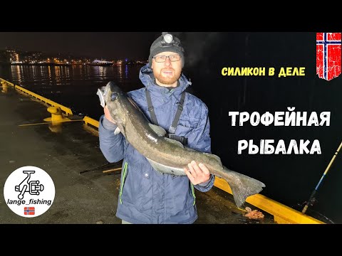 Видео: ТРОФЕЙНАЯ РЫБАЛКА В НОРВЕГИИ! Рыбалка 2020. Норвегия. Береговая рыбалка.
