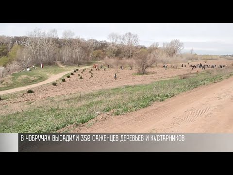 Видео: Новый «лес» для Чобруч