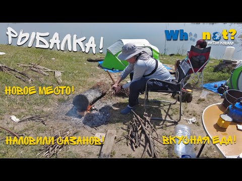 Видео: Рыбалка на Новом Месте, Поймали Сазанов, Очень Вкусно Готовим