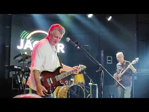 Видео: АукцЫон — Птица