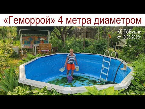 Видео: КОТоБудни бывают разные: бывают страшные и безобразные.., бывают милые и любимые...