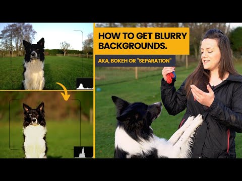 Видео: Как получить размытый фон на фотографиях: все дело в относительных расстояниях (и фокусном рассто...