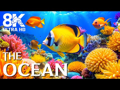 Видео: Спокойный океан 8K Ultra HD 🌊 Звуки разноцветных рыб и мягких волн для сна и успокоения ума