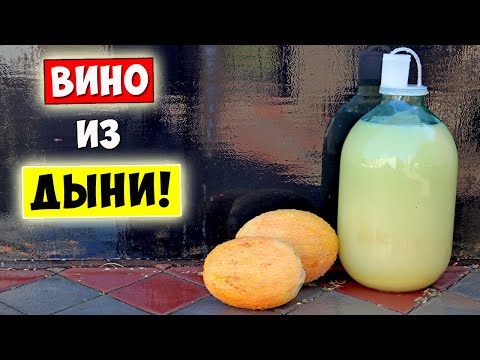 Видео: ВИНО из ДЫНИ / Простой Рецепт / Melon Wine