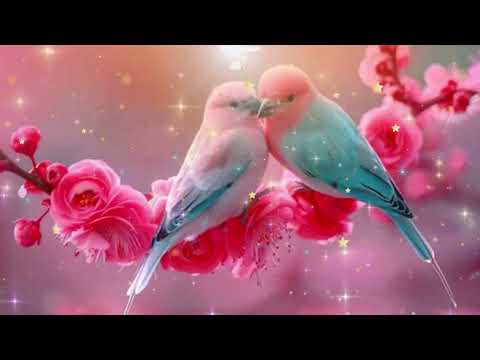 Видео: Моя желанная тёща. Истории из жизни