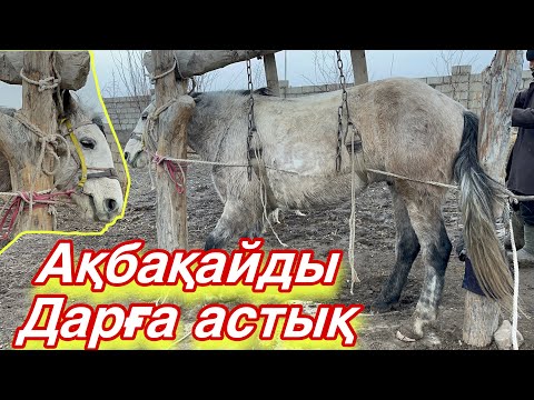 Видео: Қыстың тіршілігі, Ат тағалау, отын кесу күйбең тіршілік…