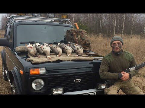 Видео: Лучший скрадок на гуся за 5 минут. Работает везде, пахота, кукурузные поля, луг, канавы.