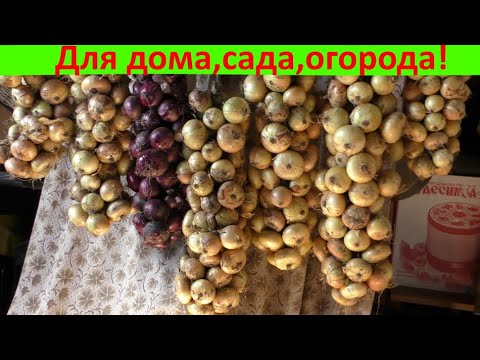 Видео: Сравнение способов плетения кос из лука !!!!