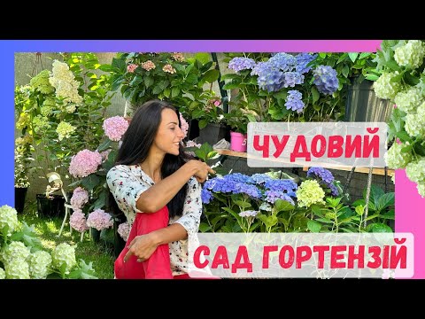 Видео: Чудовий сад гортензій.