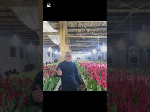 Видео: 11 апреля 2025 г.