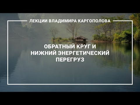 Видео: Лекции В. Каргополова. 15.1. Обратный круг и нижний энергетический перегруз