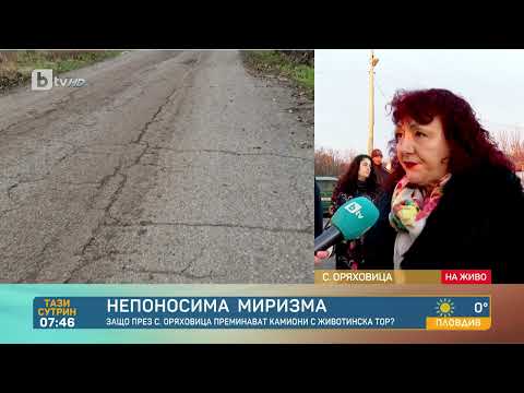 Видео: Камиони от свинеферма в село Оряховица разливат фекалии и урина по улиците | „Тази сутрин“ - БТВ