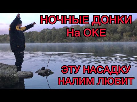 Видео: ДОНКИ на ОКЕ НОЧЬЮ / НАЛИМ ЛЮБИТ ЭТУ НАСАДКУ / ПЕРВЫЕ МОРОЗЫ